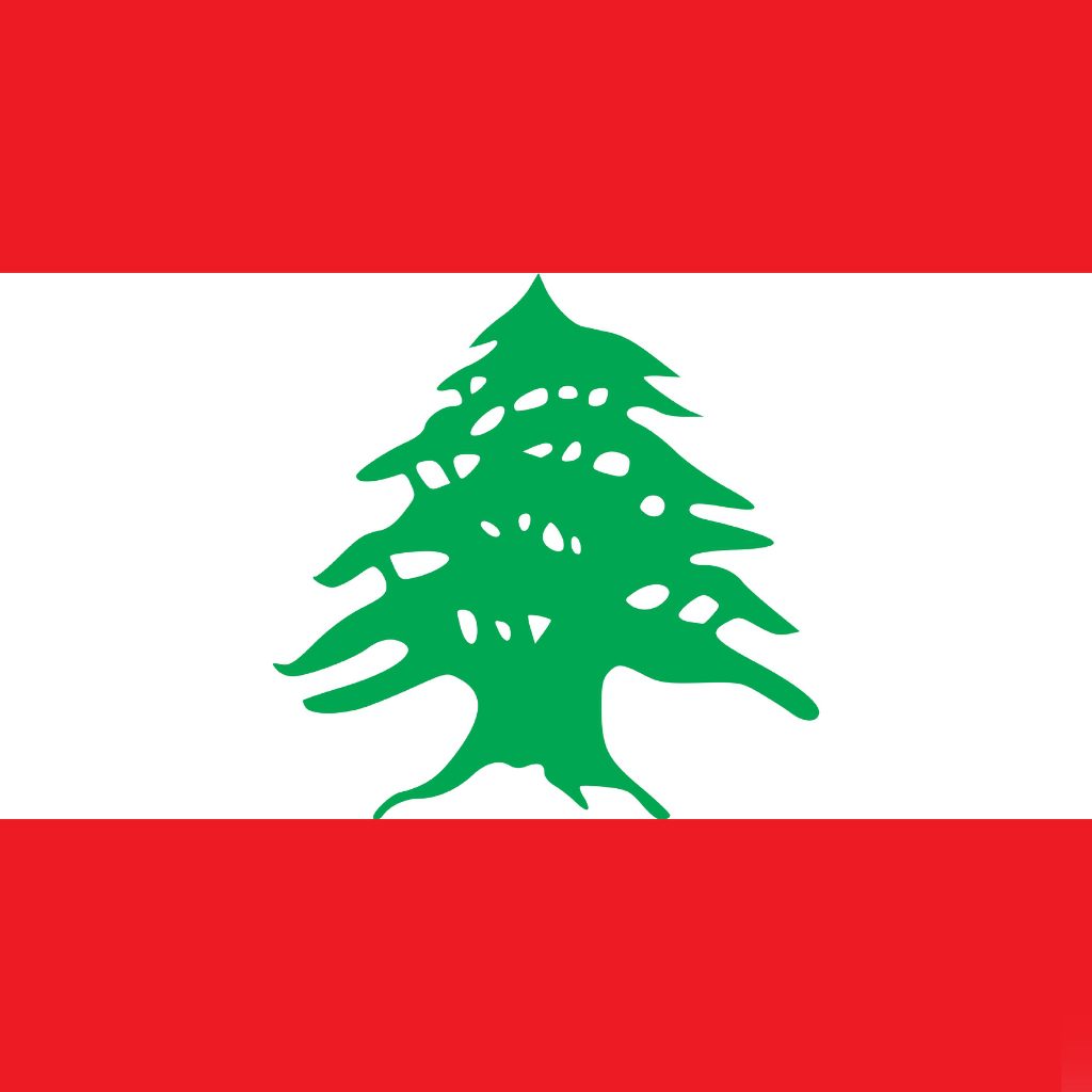 Lebanon - Malta Double Tax Treaty