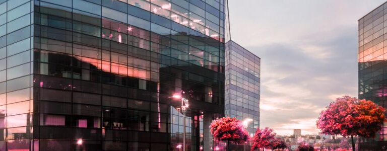 Why Choose a Malta Company Service Provider