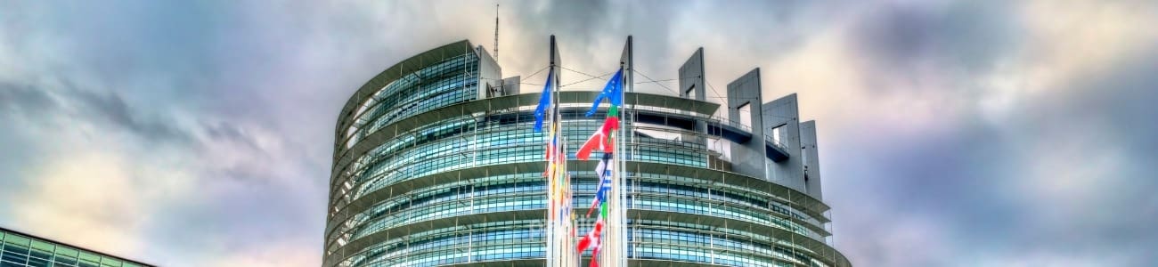 EU Reached an Agreement on the ViDA Initiative