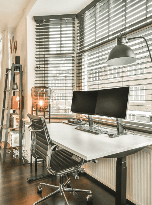Netherland Registered Office Importance Image Section