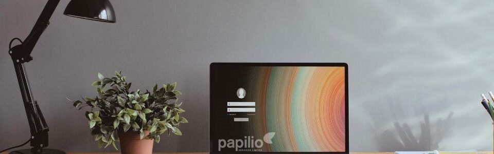 Malta’s Digital Nomad Visa: 2024 Significant Economic Contribution