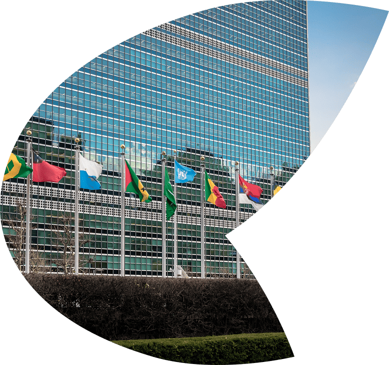 International tax services