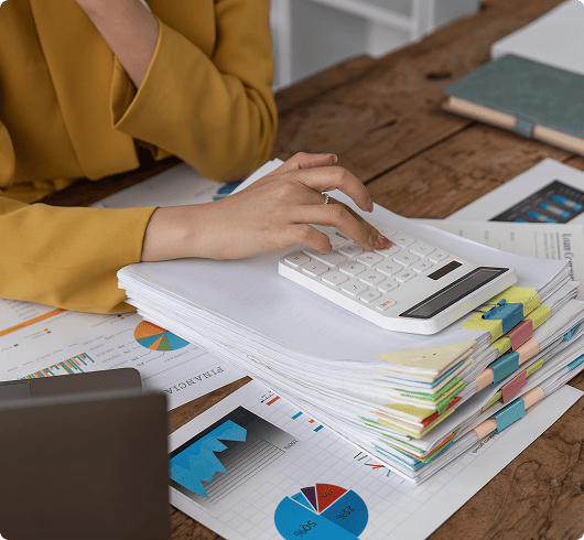 Netherland bookkeeping Services section