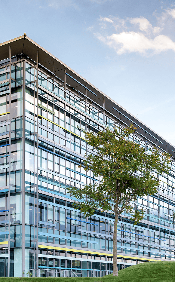Registered Company in Netherlands Section