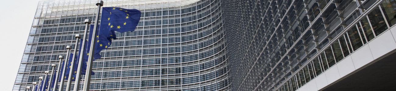 The New EU Single Market Strategy