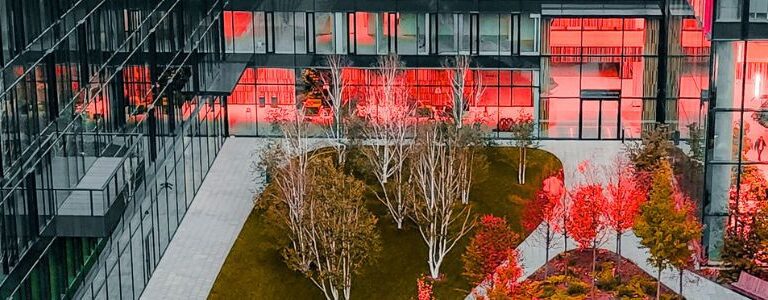 Malta Sees Surge In Foreign Investment In 2024