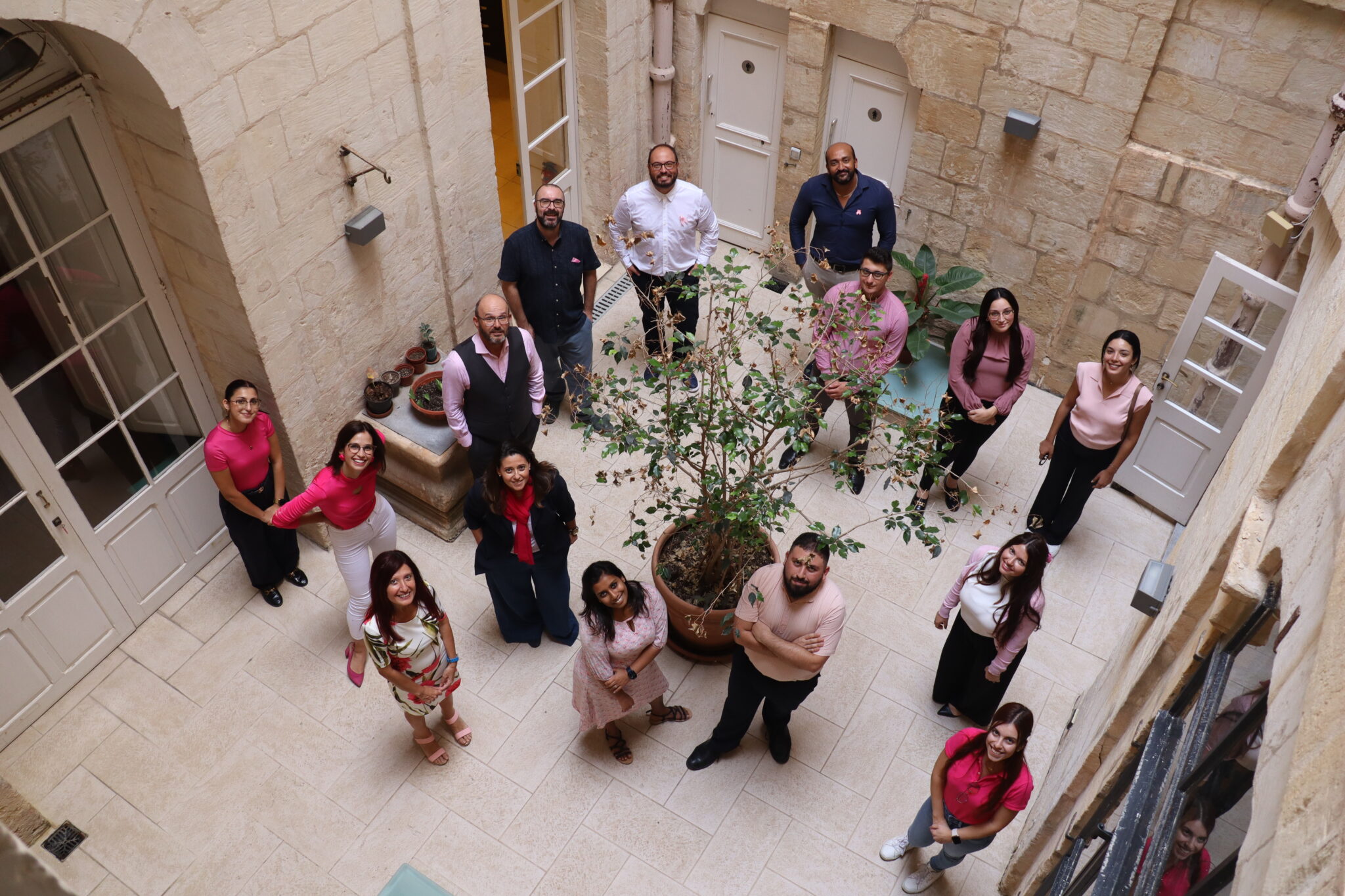 Team Papilio Services