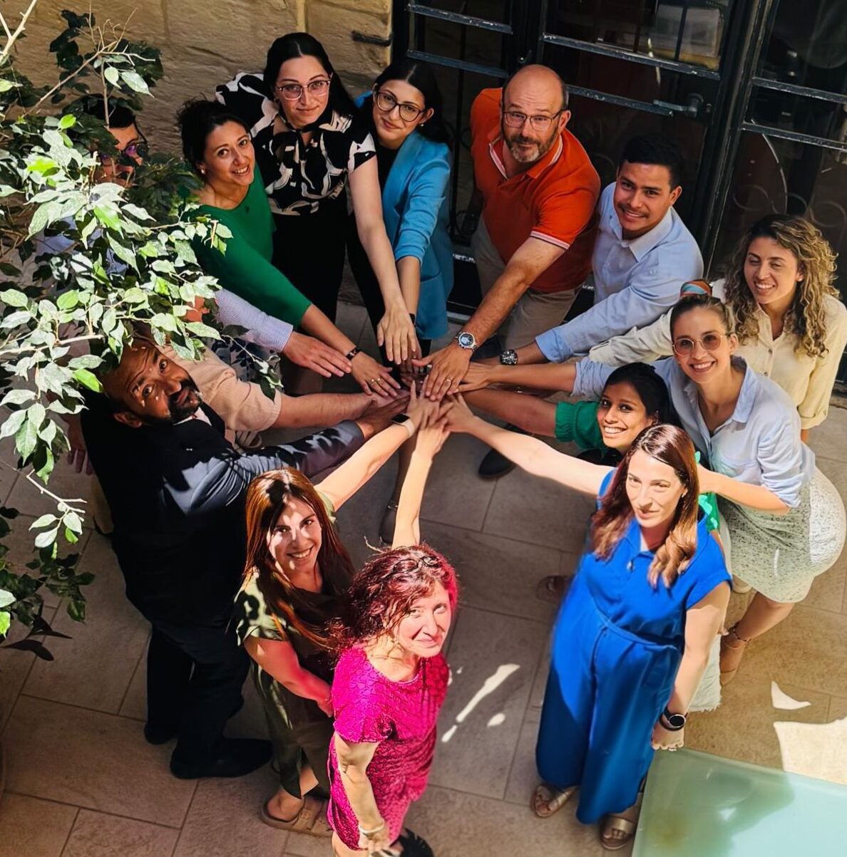 Team Papilio Services