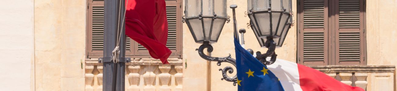 VAT Digital Reporting & E-invoicing